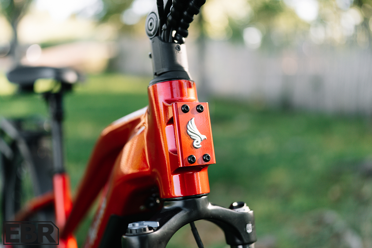 Euphree Stellar Falcon headtube